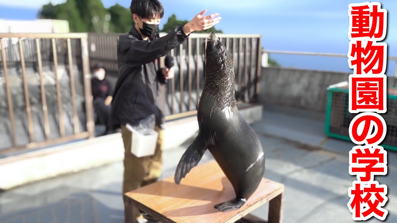 日本初の