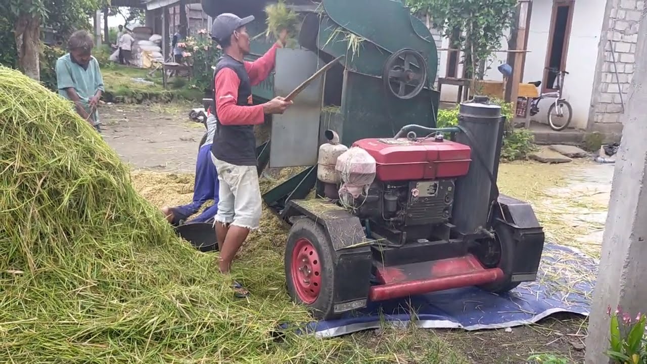 Alat Pertanian Blower Padi... Mobil Selep Padi Keliling