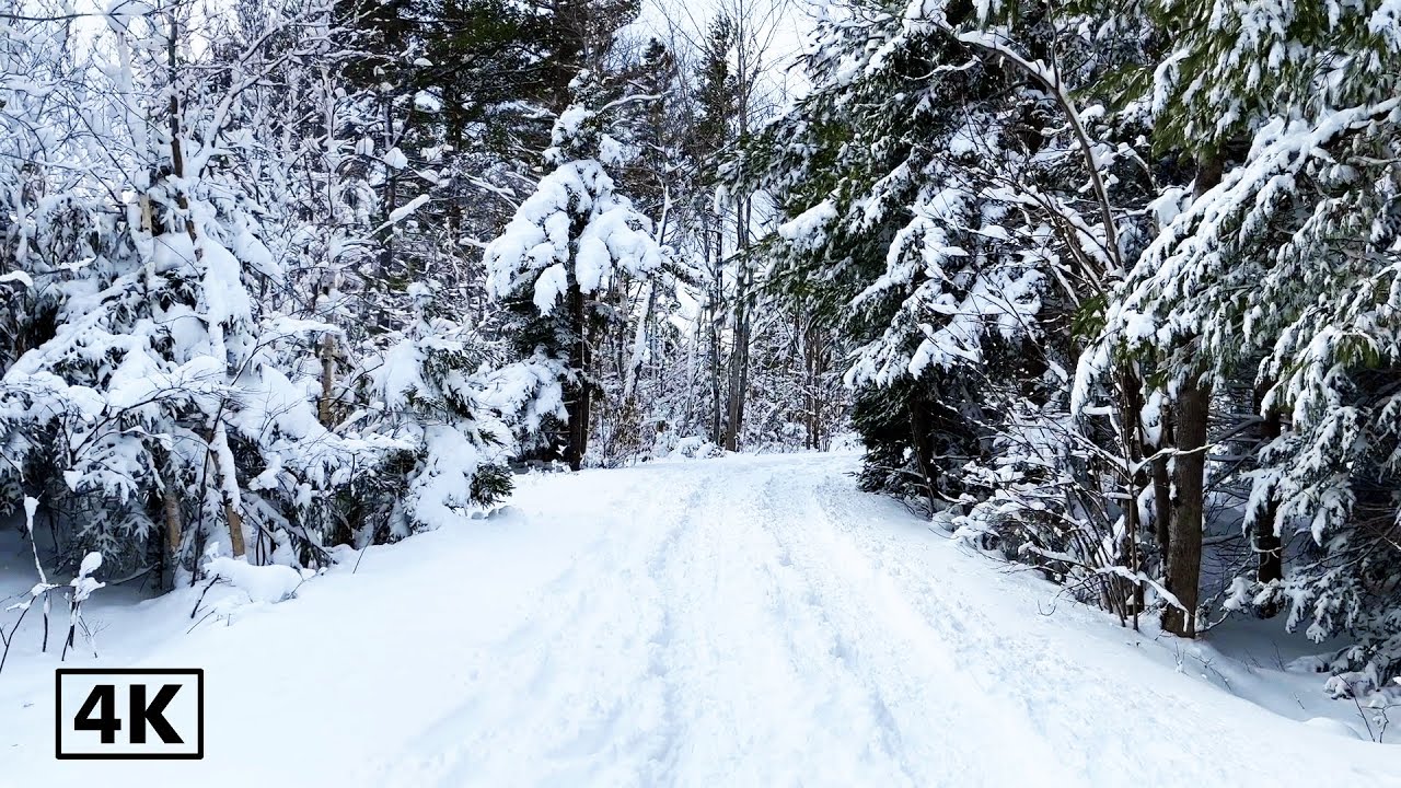 The Amazing Long Lake National Park in Halifax, Nova Scotia, Canada |  4k  Winter Season