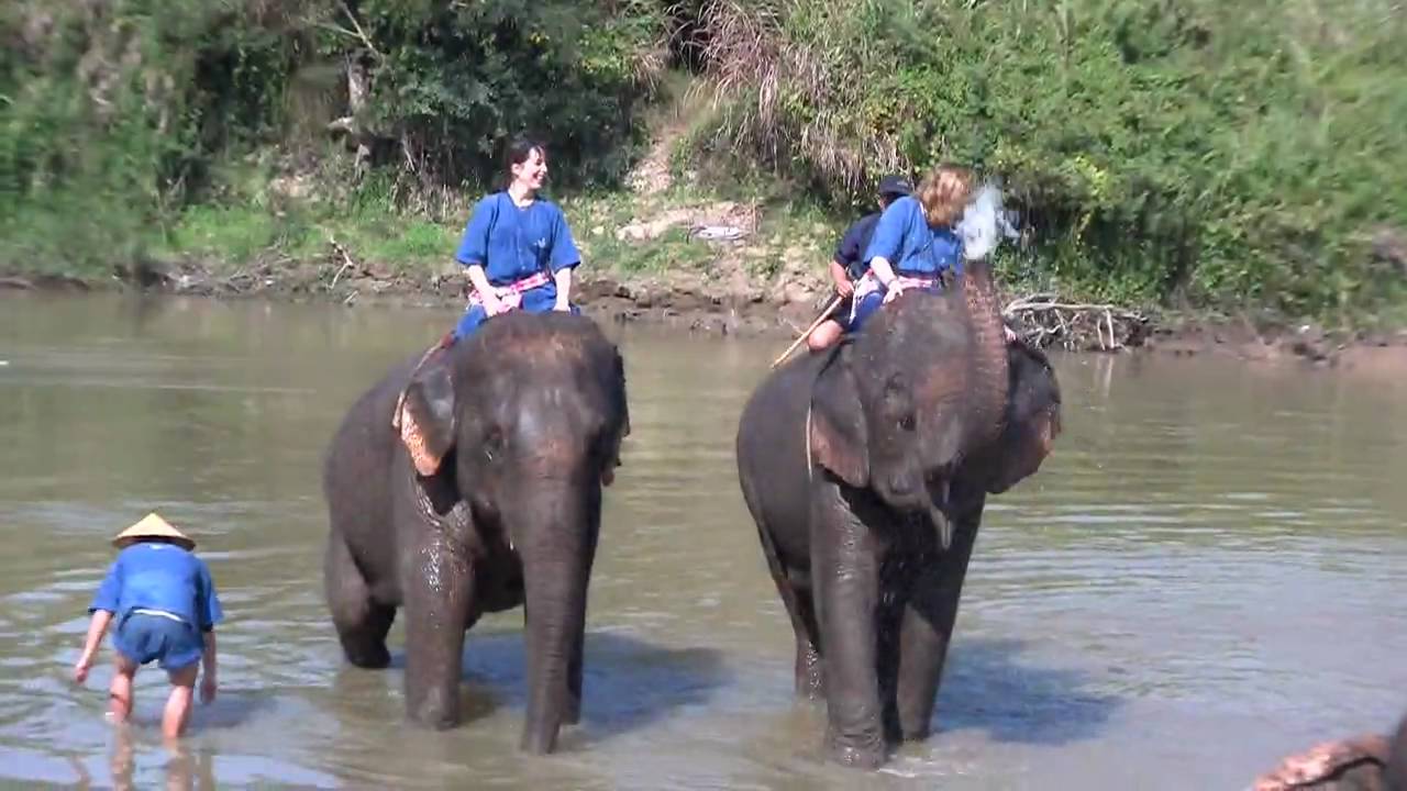 How To Ride An Elephant