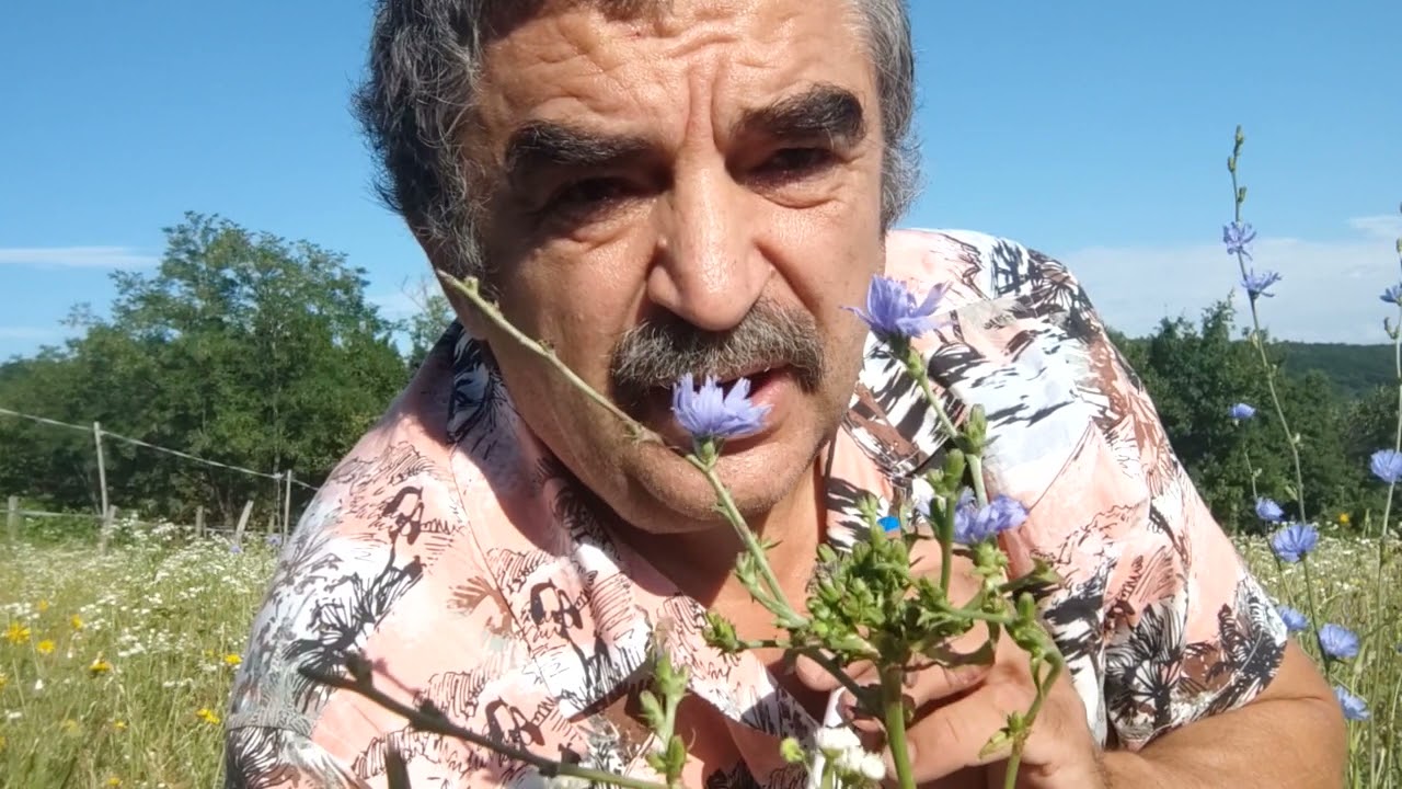 Botanikus a konyhában - 100. A katáng