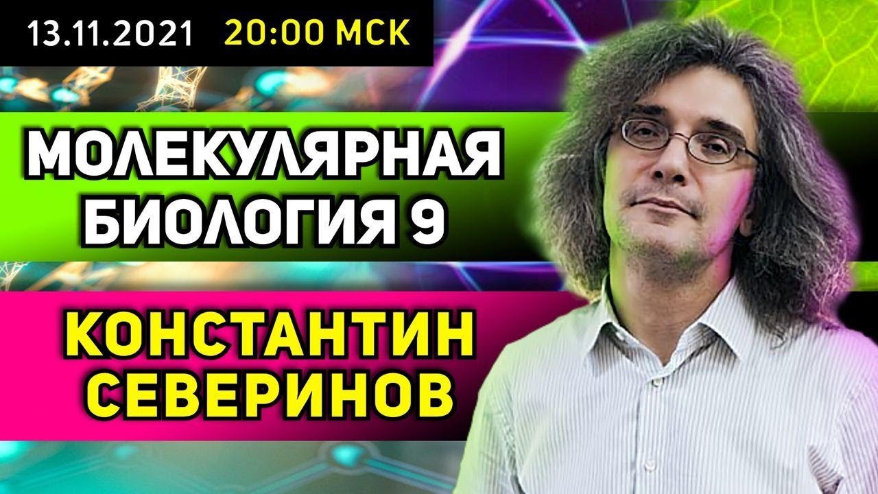 Константин Северинов. Молекулярная биология. АТФ - биологический доллар.