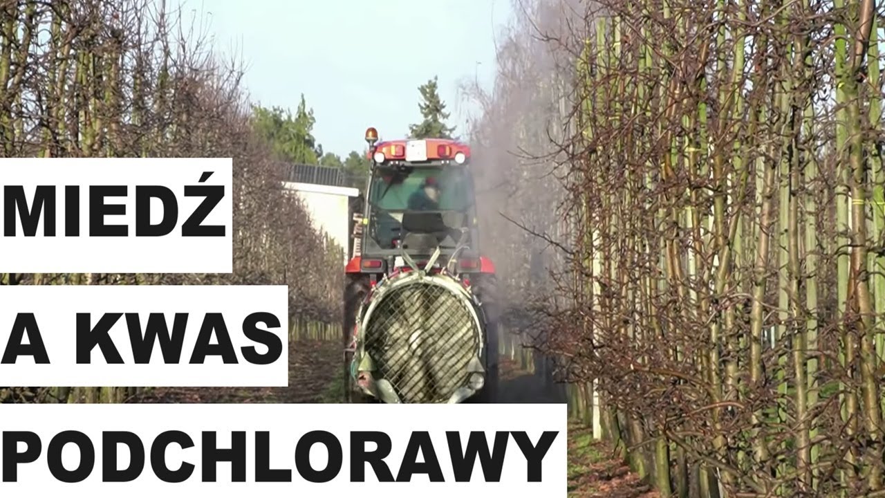 Miedź a kwas podchlorawy