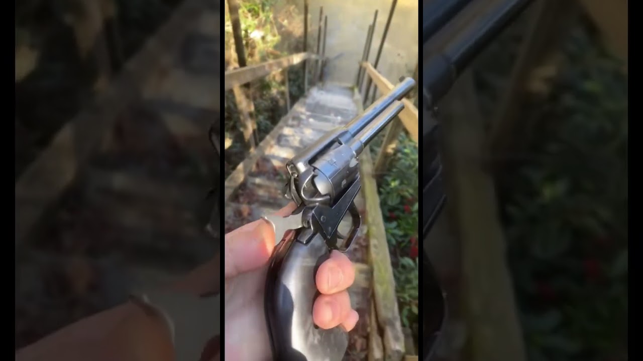 .22 Short Vs .22 LR Power Test Comparison