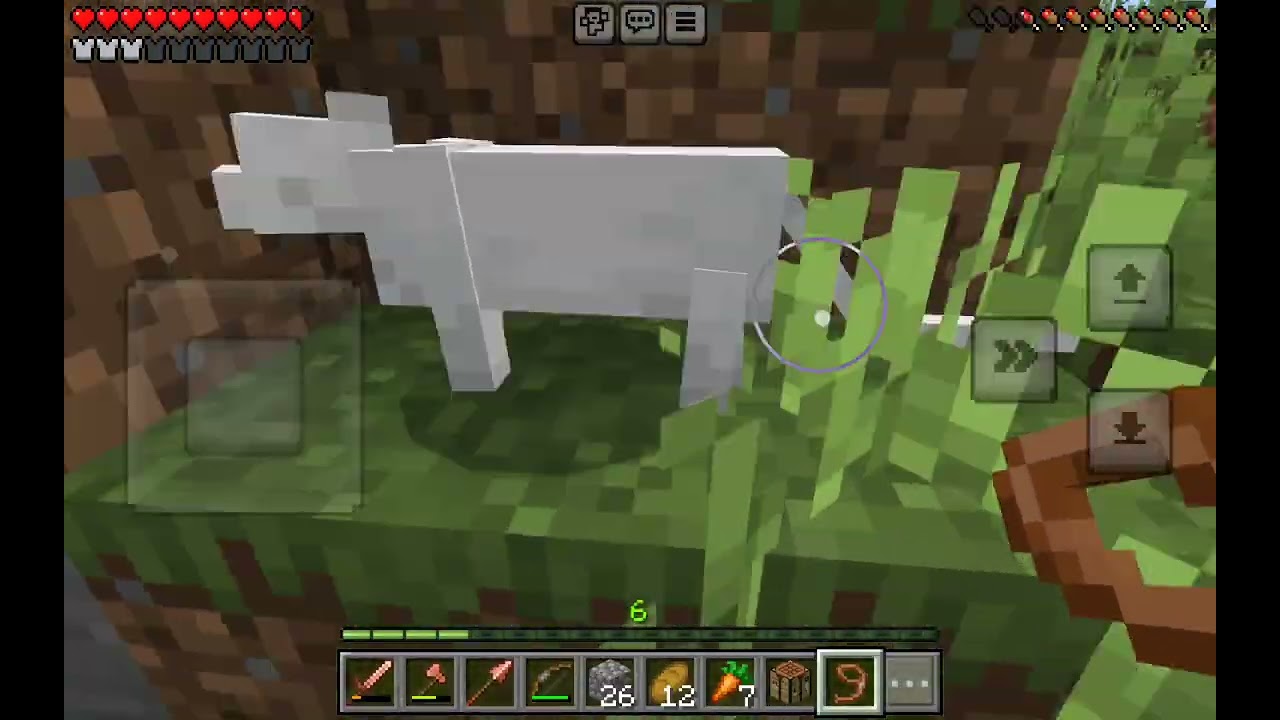 Gatitoisland 3 parte uno nuevo gato i hierro 