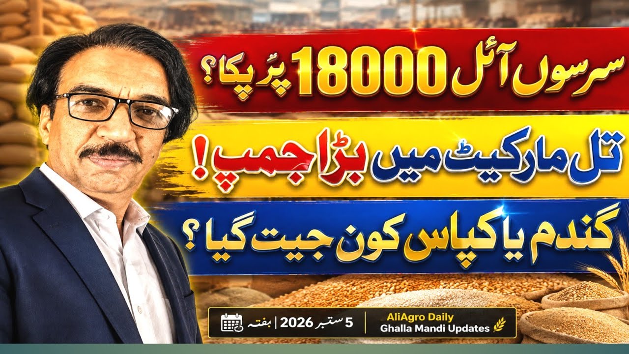 Wheat Rate Today Pakistan | Gandum, Sarson & Til Prices | Makki, Munji & Cotton Mandi Update 🌾