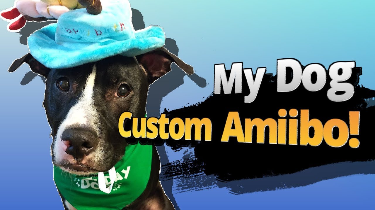 I make MY DOG into an Amiibo! | Custom Amiibo Ep. 34