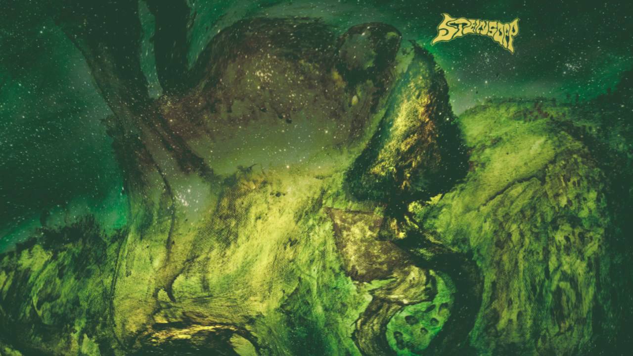 Steinsopp - Mycologist