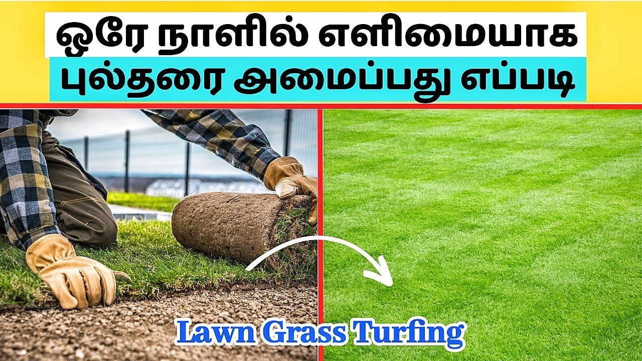 How to Install Lawn Grass - தமிழில் | Landscape Lawn Grass Turfing | Gardening Ideas Tamil