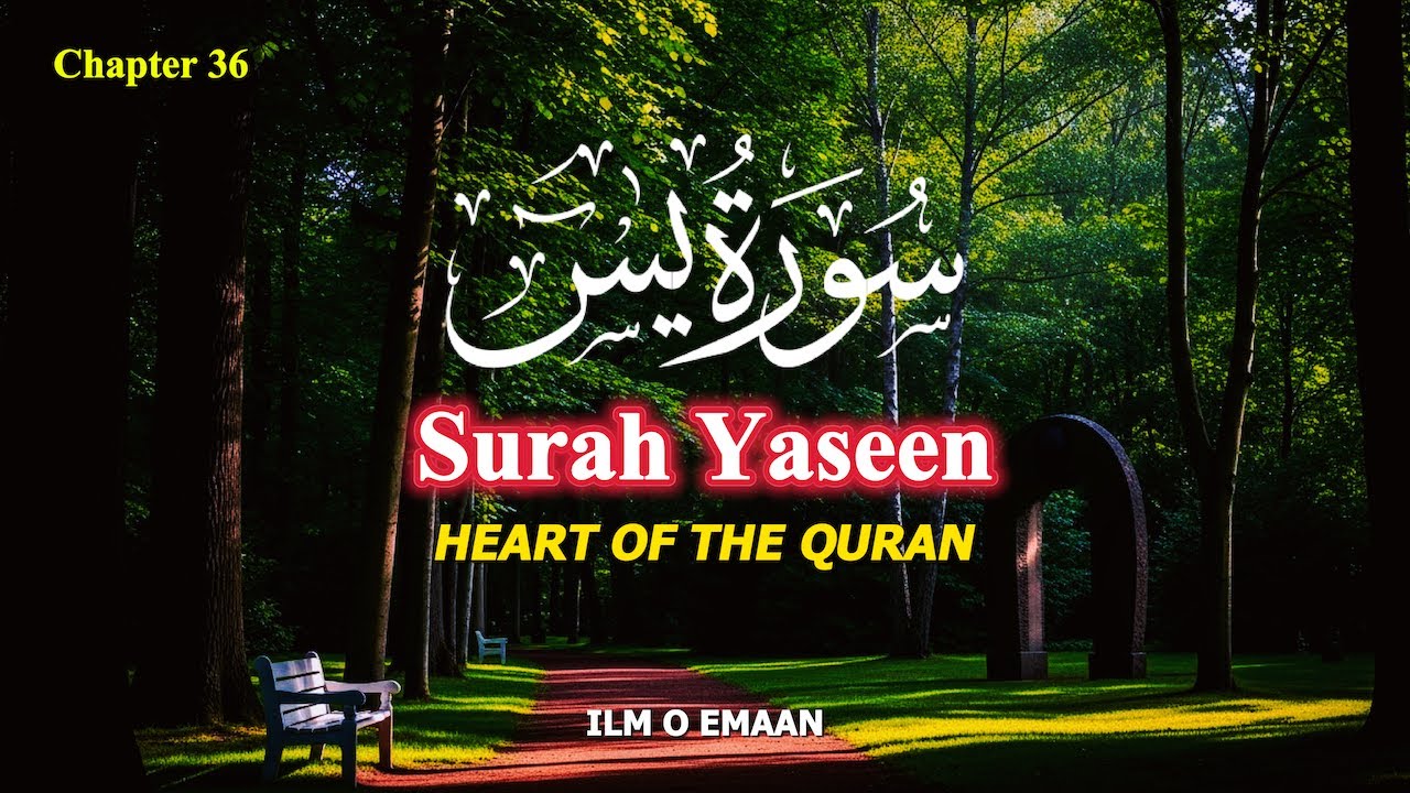 Surah Yaseen (Ya Sin) – Peaceful & Emotional Full Recitation for Healing, Forgiveness