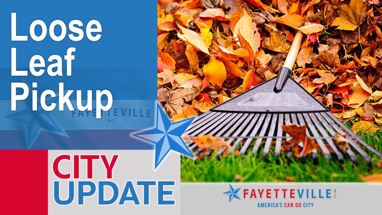 City Update - Loose Leaf Pickup