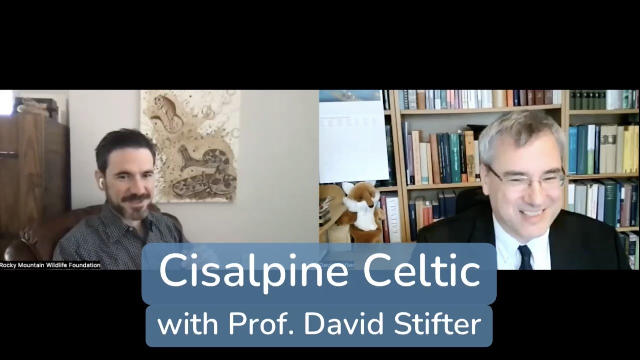 Cisalpine Celtic (with Dr. David Stifter)