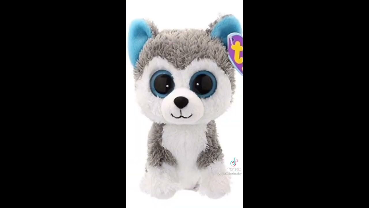 beanie boo tik toks (part 1)