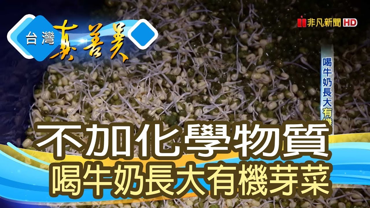 喝牛奶長大“有機芽菜”【台灣真善美】2019.04.14