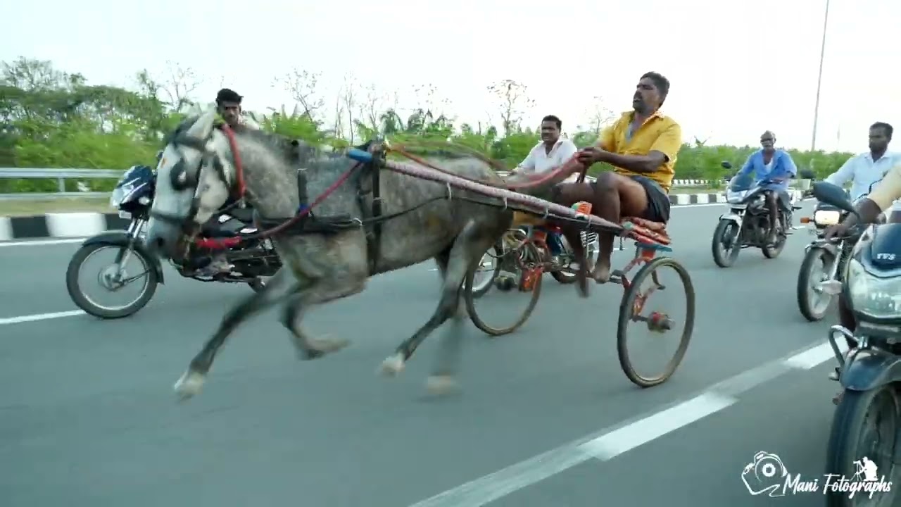 இம்ரான் குருப்ஸ் நடத்தும் பயிற்சி களம்
