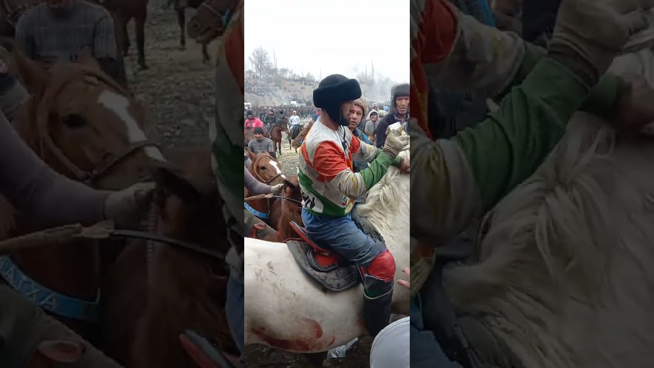бузкаши деваштич қ дӯст сарваполвон бо аспи океан 10 01 24 🐎💸🇹🇯🇺🇿🇰🇿👍
