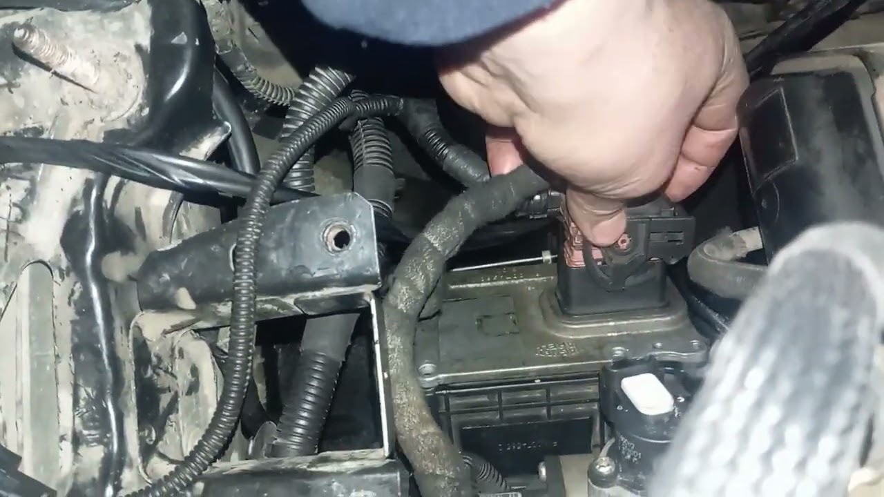 Fiat bravo 1.6 multi jet Transmission brain error P290c selonoid valfe erorr can erorr