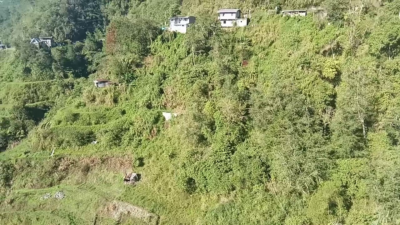 VLOG #9. BUSCALAN JOURNEY