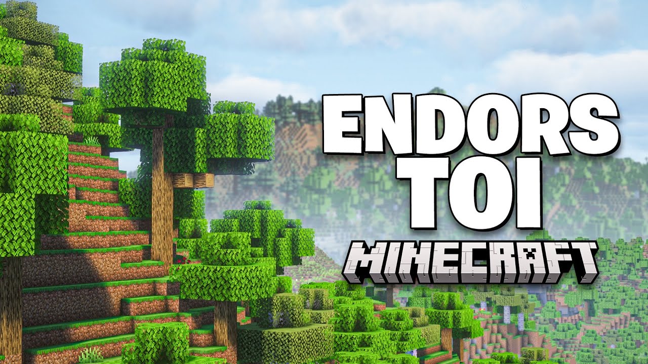 Endors-toi pendant que je joue à Minecraft