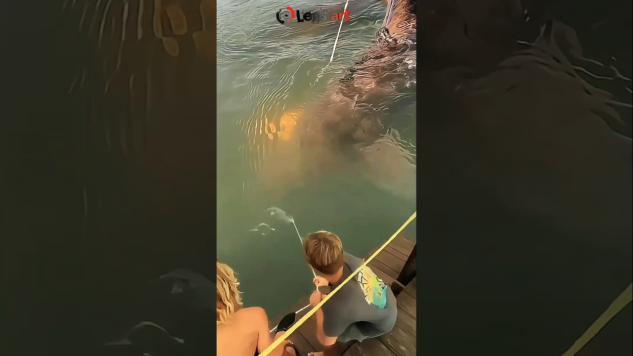 Mancing ikan monster di sungai amazon. #fishing #amazing #viralshort