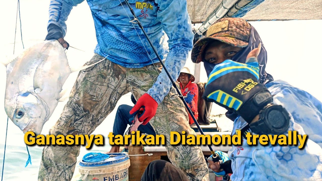 Ekspedisi Diamond Trevally laut Probolinggo @muhammadsiswanto1550 