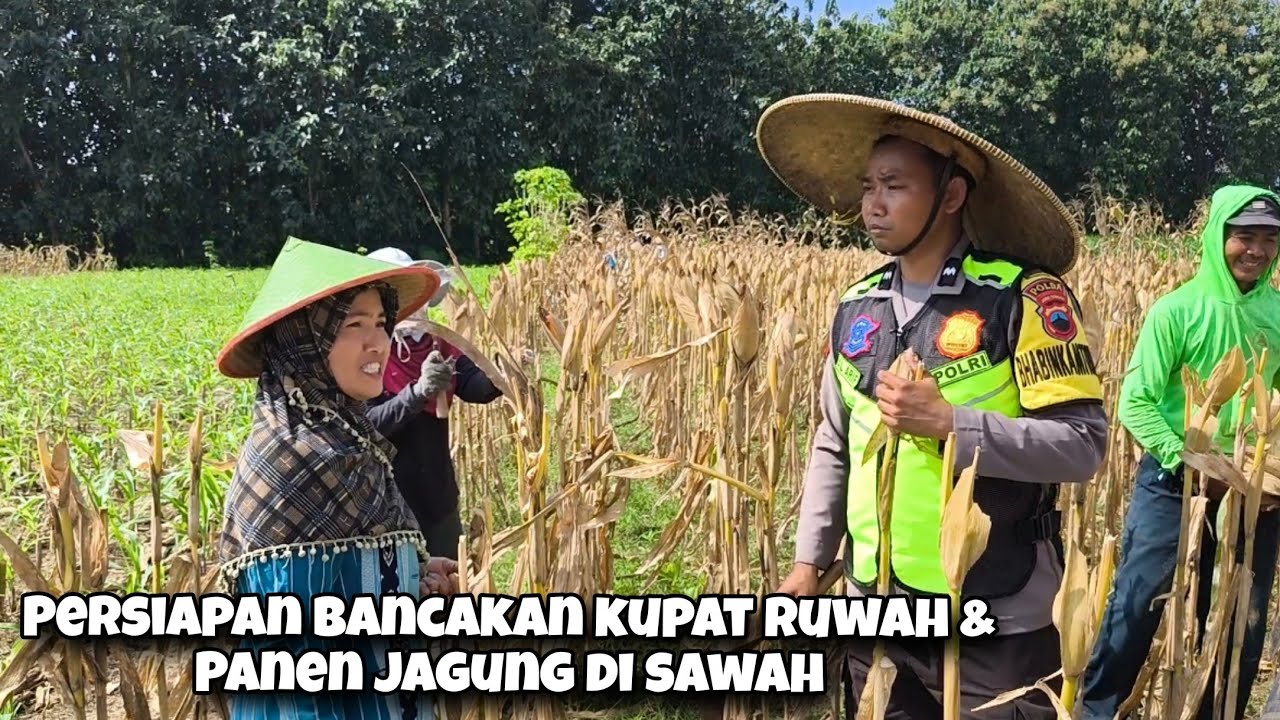Nostalgia Bancakan Kupat Ruwah & Panen Jagung Di sawah 