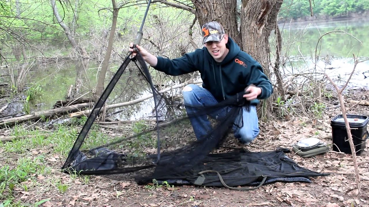 Basic Carp Care Tips and Gear