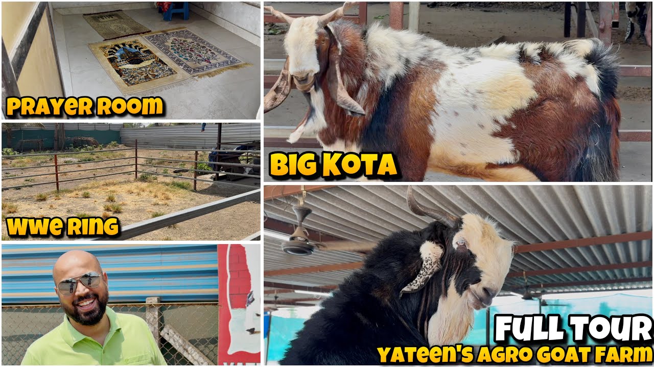 Yateen’s Agro Goat Farm FULL TOUR | BIG HEAVY KOTA Goats , Namaz Room , WWE Ring and Many More