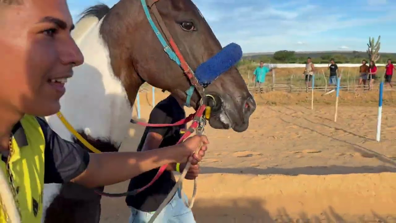 CAVALO PAMPA, Grande Corrida de Cavalos, Haras Umbuzeiro, Garcia, Bahia #cavaloscorridasehistorias 