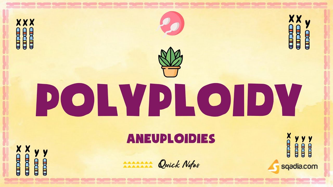 Aneuploidies | Polyploidy | Basic Genetics Concepts