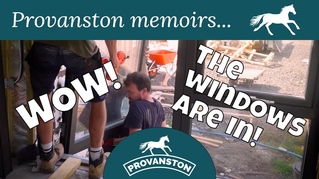 W0W - The Windows are in!!