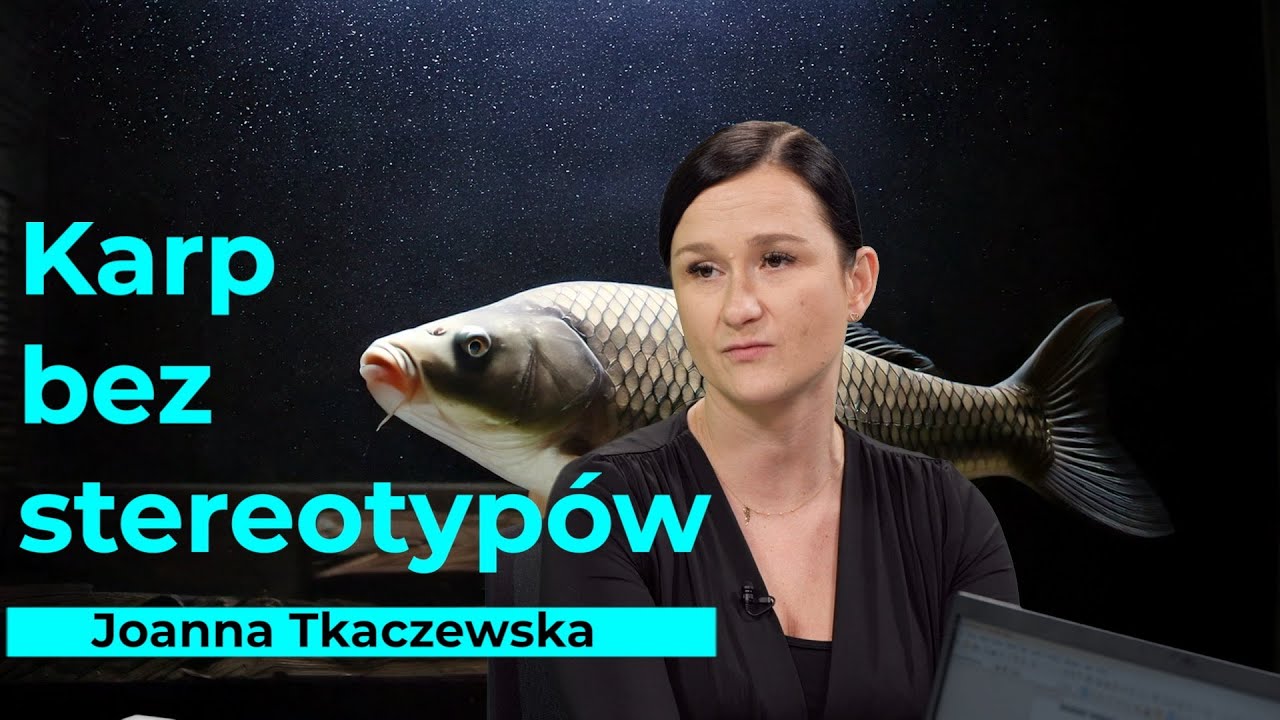 Karp nie tylko świątecznie