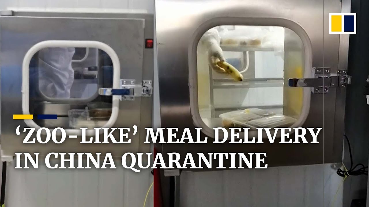 ‘Like a zoo’: Chinese woman’s quarantine meal delivery gets social media attention
