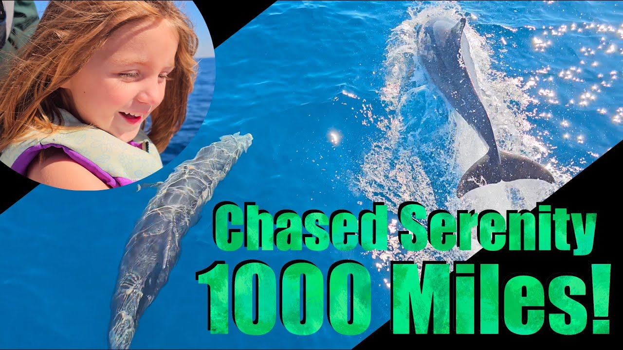 1000 миль в море! Из Чарльстона в Сент-Огастин, бесконечные дельфины | В погоне за безмятежностью...