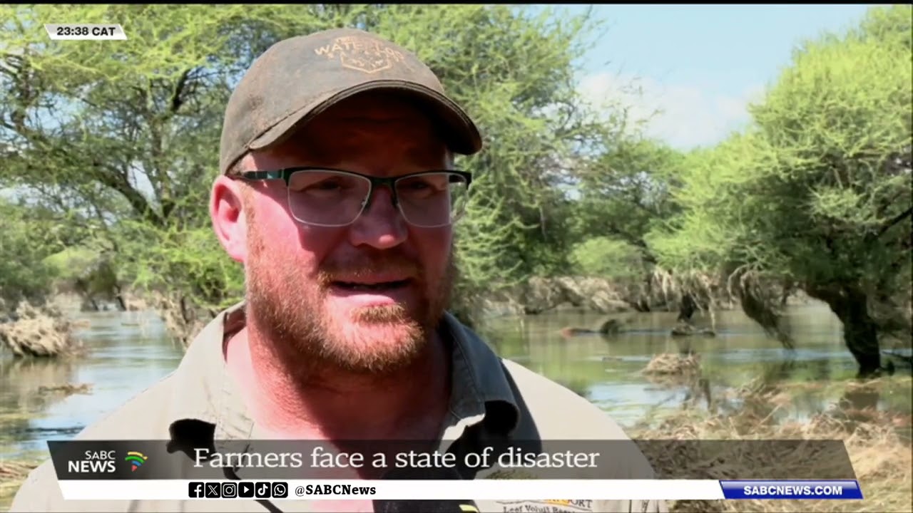 Limpopo farmers face a state of disaster