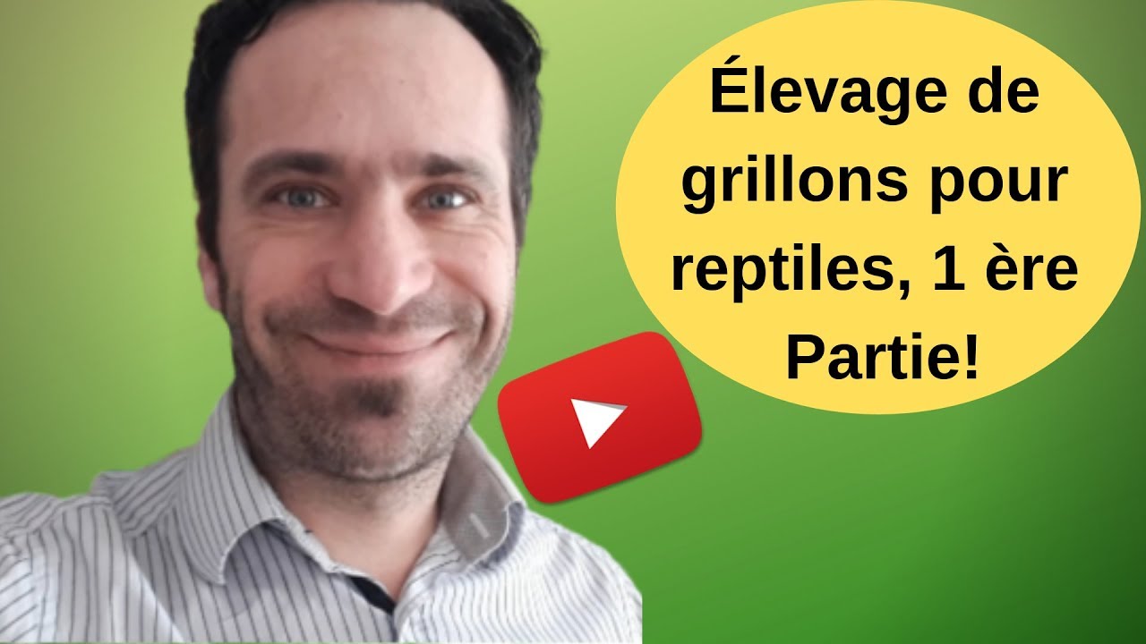 Élevage de grillons pour reptiles, 1 ère partie!