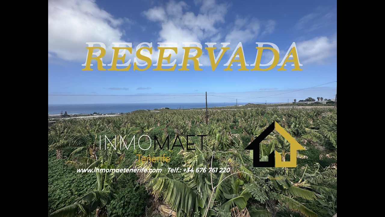 🌴🍌 FINCA DE PLÁTANOS EN VENTA – ZONA COSTERA DE TENERIFE 🌊☀️