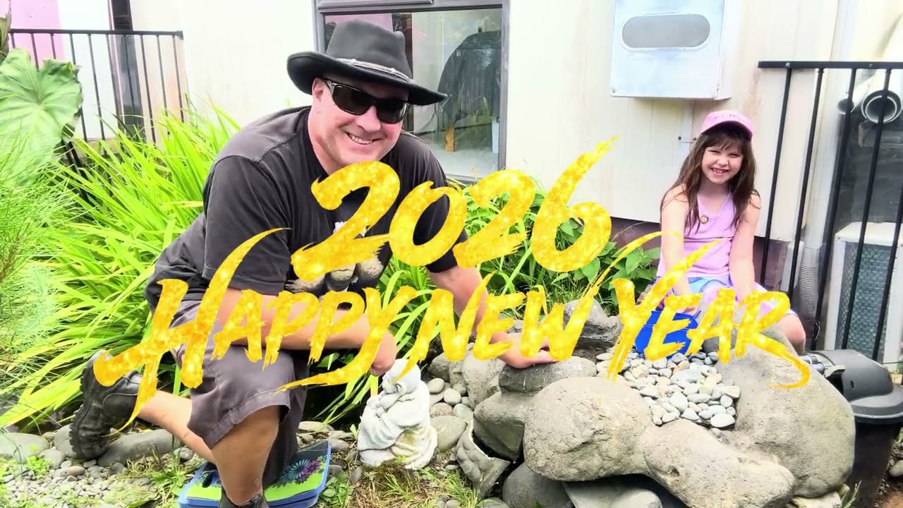 🎁🐢 С Новым годом! 2026 #новыйгод2026 #подписаться #черепаха #наблюдениезачерепахами #маленькаячер...