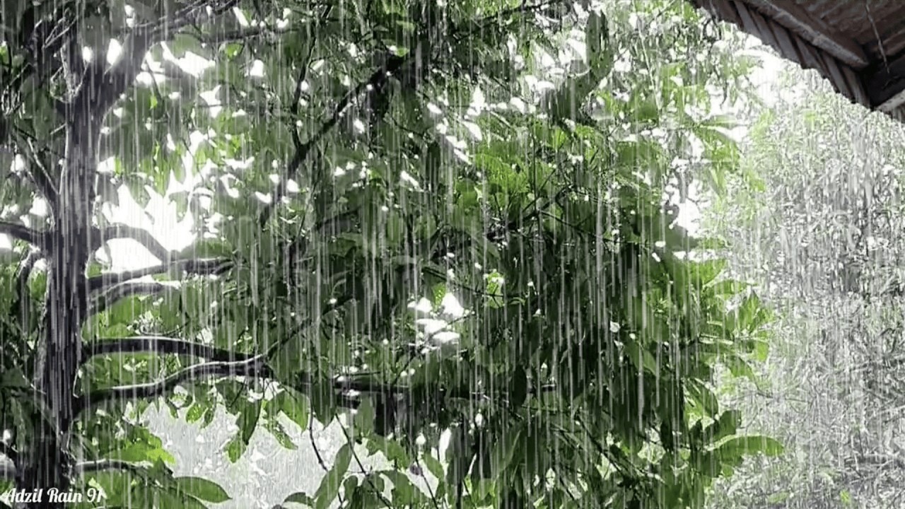 Непрерывные звуки сильного дождя 🌧 Мгновенный глубокий сон 💦💤