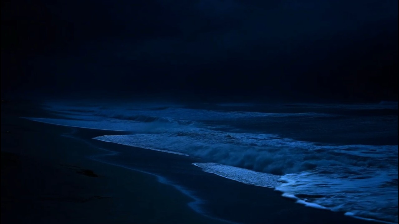 Calming Ocean Waves | Relaxing Sleep Music for Stress & Anxiety (No Ads)