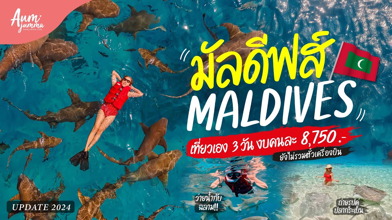 เที่ยวมัลดีฟส์ 🇲🇻 (Maldives) 3 วัน 2 คืน ไปว่ายน้ำกับฉลาม งบคนละ 8,750!! (Update 2024) | VLOG