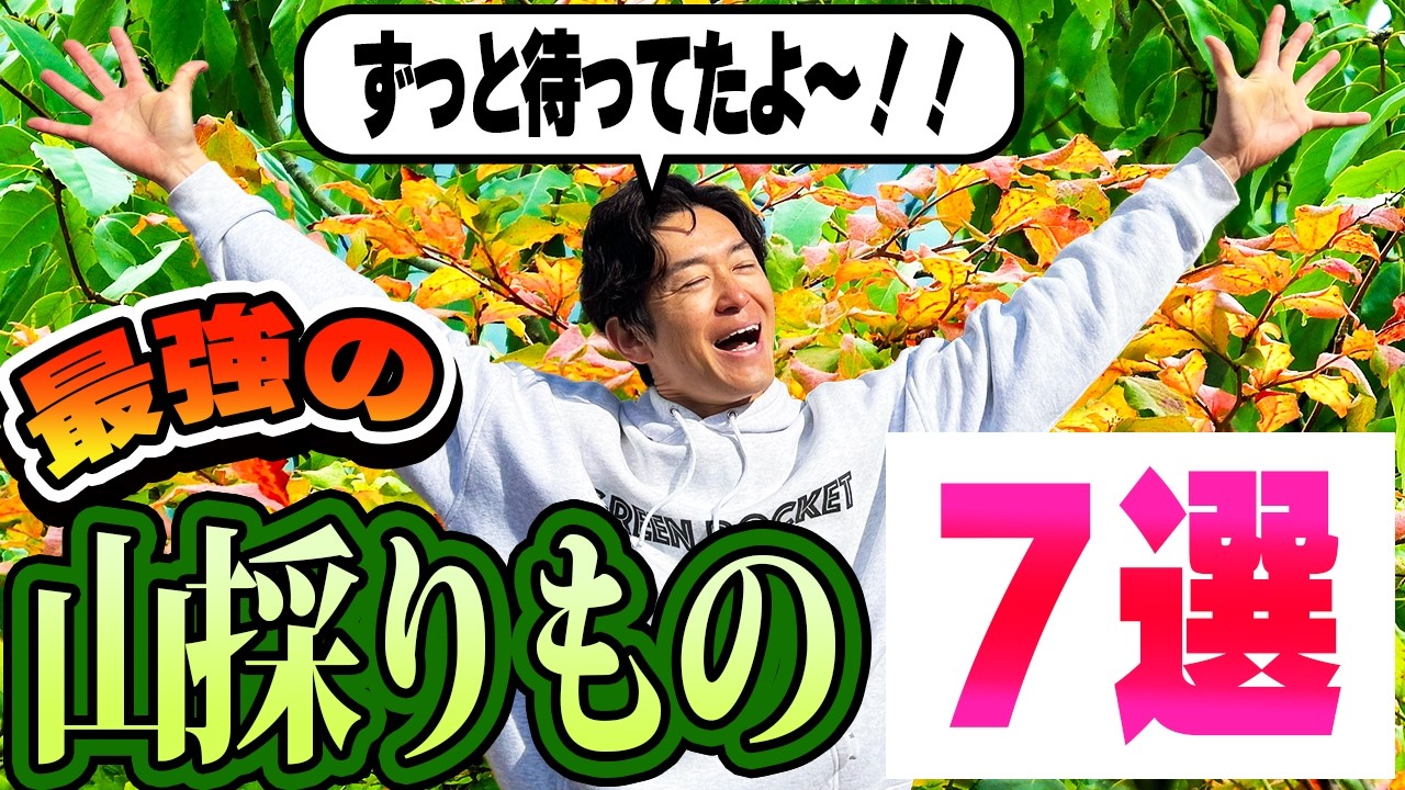 【癒しの庭】ナチュラルと抜け感を楽しめる庭づくり【山採りもの入荷情報】