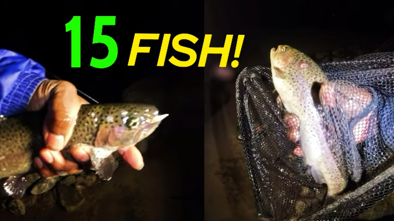 Do Trout bite at Night? (nonstop action)