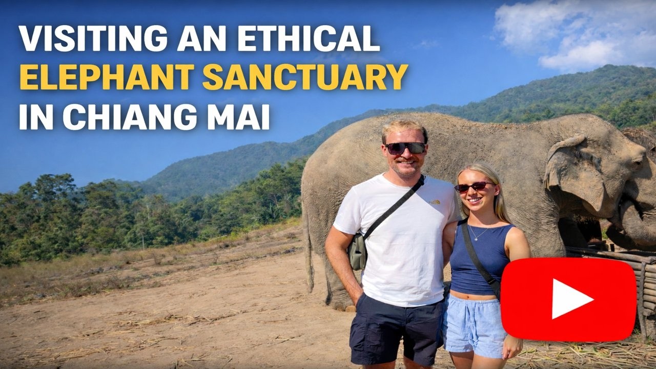Nearly being crushed by a baby elephant in Chiang Mai!