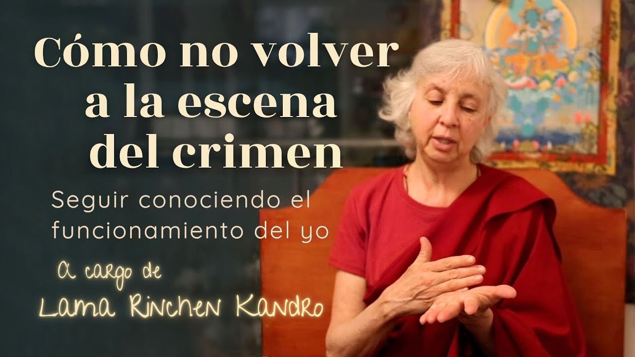 Cómo no volver a la escena del Crimen. Sequir conociendo el funcionamiento del yo.