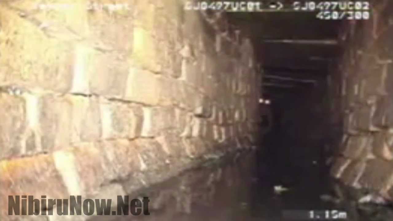 Sewer Monster Captured on Camera