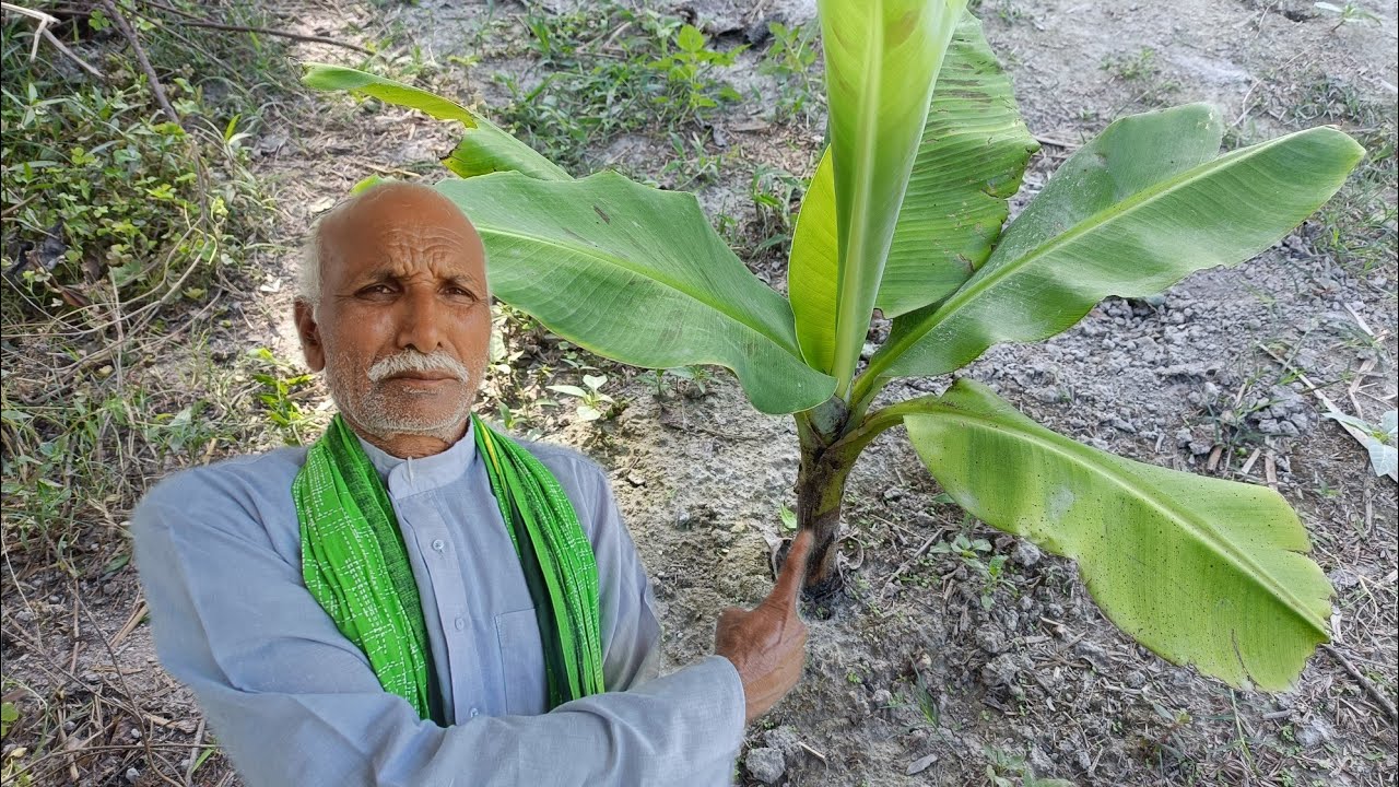 जेब मे रखे जेब कभी खाली नही होगा घर मे रखे धन बढ़े व्यापार खुल कर चले जुआ सट्टा लाटरी मे जीत होगी