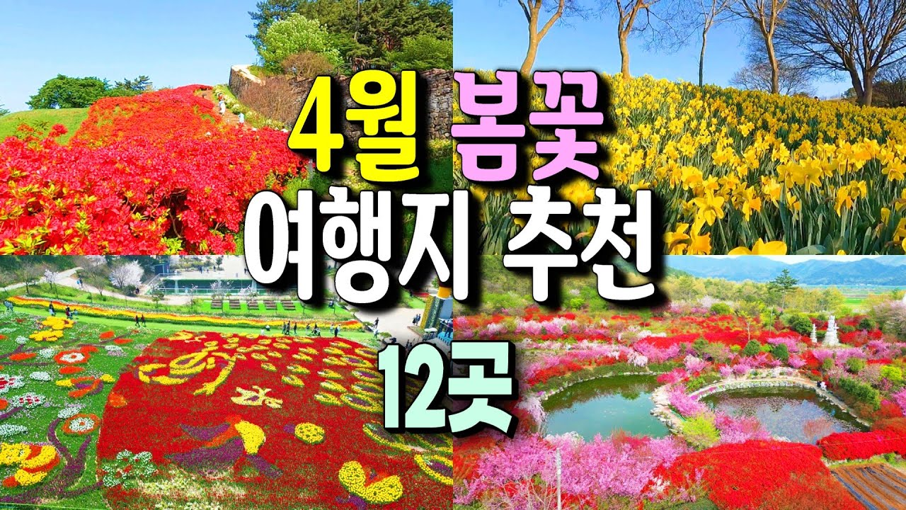 꼭 권하고 싶은 4월 봄꽃 여행지 12곳 ㅣ예년보다 5~10일 늦어요.
