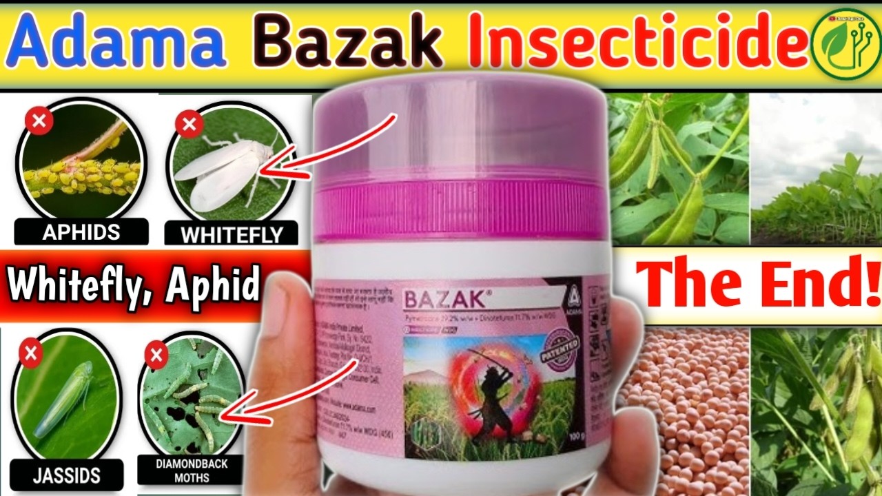 Adama Bazak कीटनाशक  | Pymetrozine + Dinotefuran |👉 पूर्ण विवरण, खुराक और कीमत| Smart Agri Care