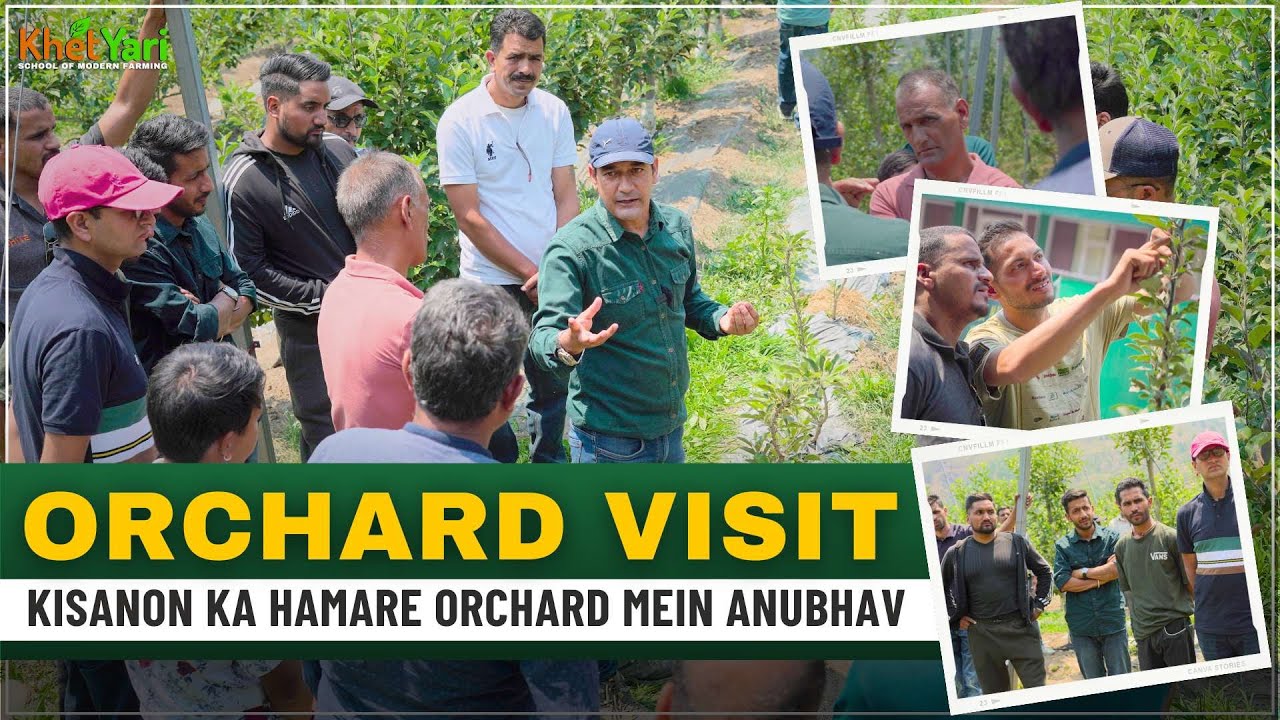 Orchard Visit  M9 Block's Evolution since 2014 | Red Jonaprince & Gala Varieties